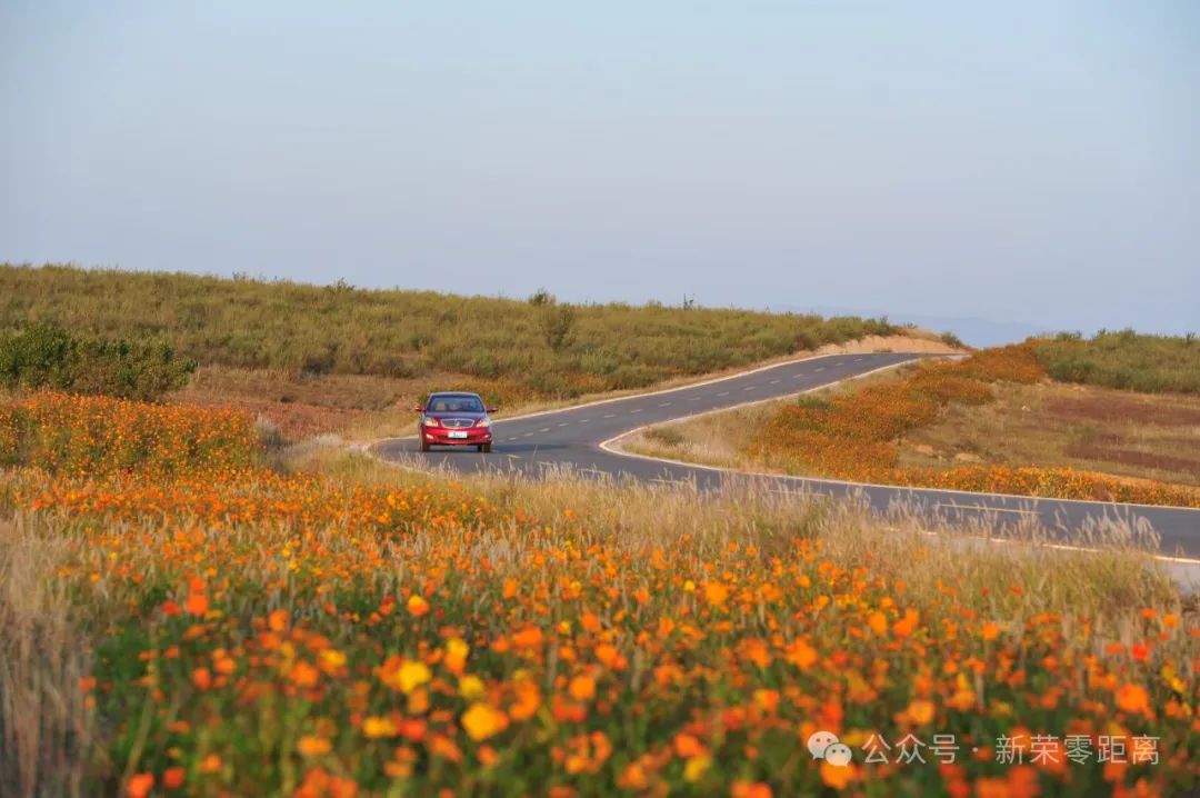 新荣区：一路畅通引领百业兴旺