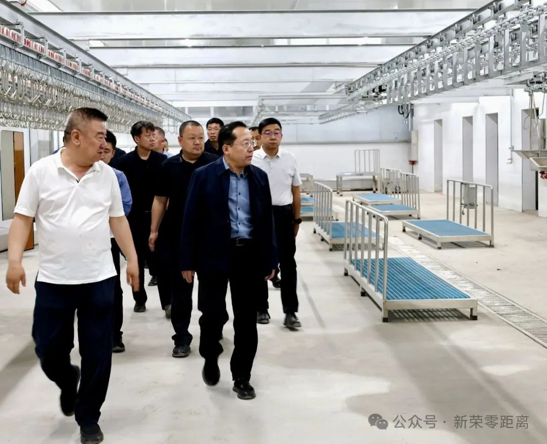 新荣区委书记刘中文深入乡村调研农业农村领域工作