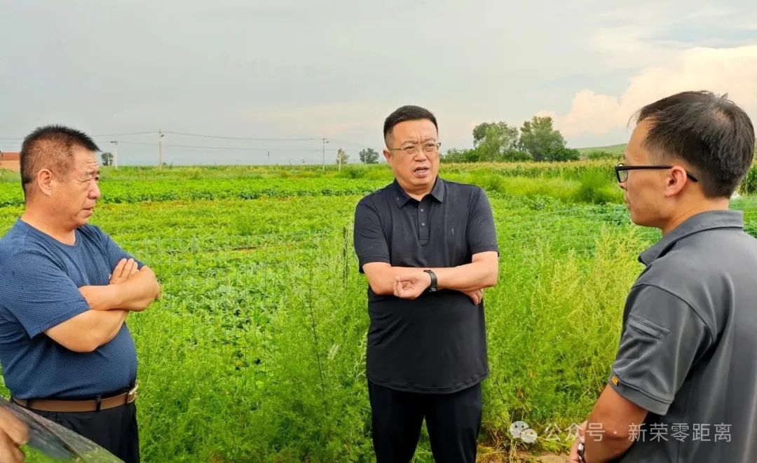 新荣区委副书记、区长郭立东深入一线调研督导防汛备汛工作