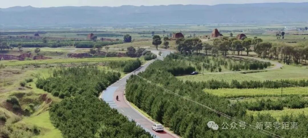 新荣区：以实干为笔 绘就新春奋斗壮美画卷