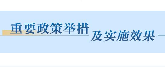 重要政策举措及实施效果